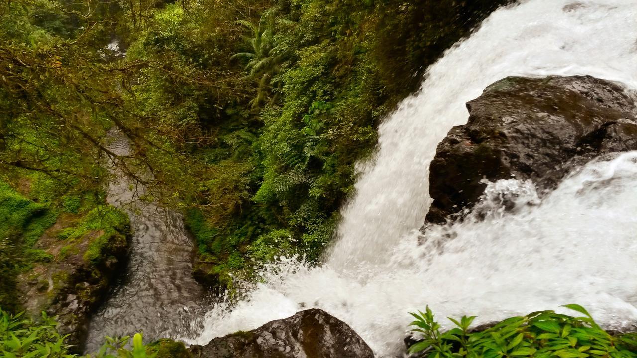 Pondok Manis Singaraja Εξωτερικό φωτογραφία